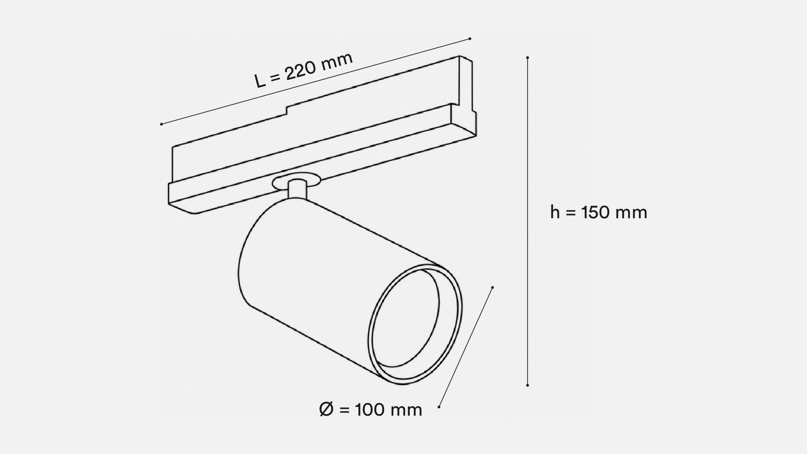 CAMELIA Ø100